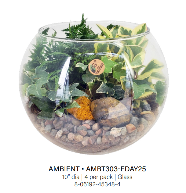 Ambient Glass Bowl Large