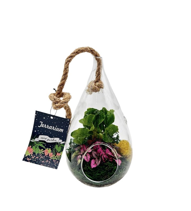 Hanging Pear Terrarium