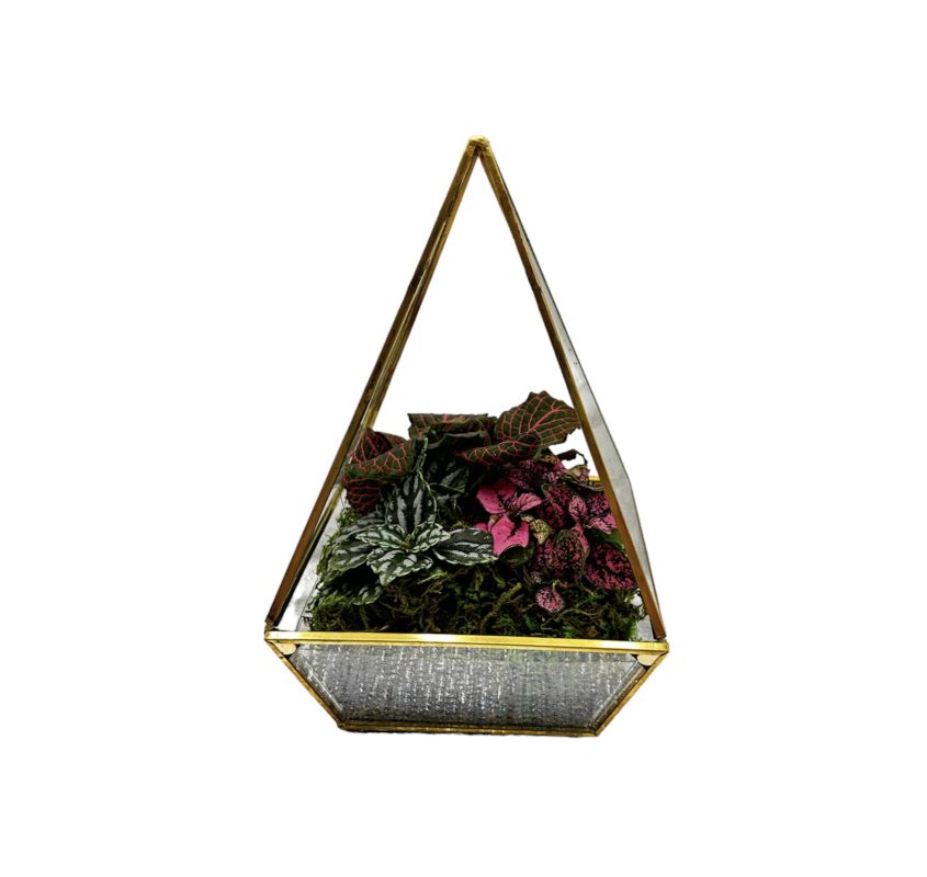 Geometric Terrarium -Pyramid Shape - Black Only 5"X8"