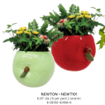 Newton Apple Garden