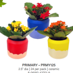 Primary Colours Mini