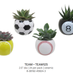 Team Sportball Mini