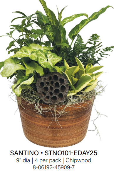 Santino Wicker Bowl