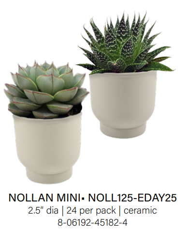 Nollan Mini