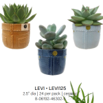 Levi Mini