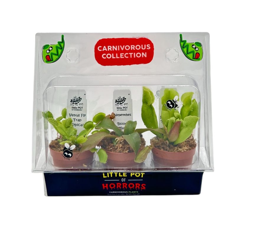 Predator Pack' Carnivorous Collection | *1 Pitcher Plant, 1 Nepenthes, & 1 Venus Fly Trap