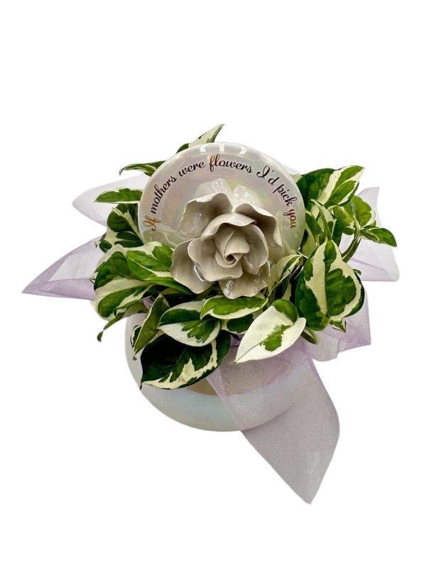 Keepsake Planter With With Njoy Pothos