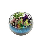 UNDER THE SEA GLASS SLOPE TERRARIUM WITH FISH PICK