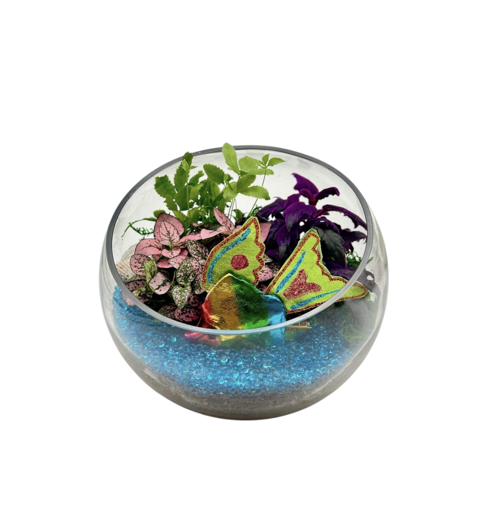 gdrive-1EY1L6lXfePmNxaz3KnXxcr5a2zCUQZv0-7 UNDER THE SEA GLASS SLOPE TERRARIUM WITH FISH PICK - Image 1