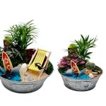 SHARK ATTACK MINIATURE GARDEN IN METAL CONTAINER