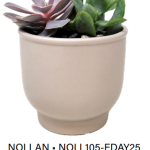 Nollan
