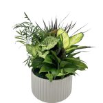 Euro White Ceramic With Dish Garden