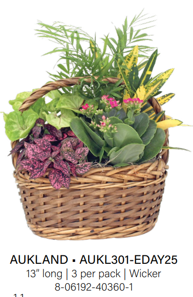 Aukland Wicker - Small