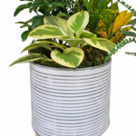 Hudson Garden - Large