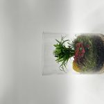 Cylinder Glass Terrariums