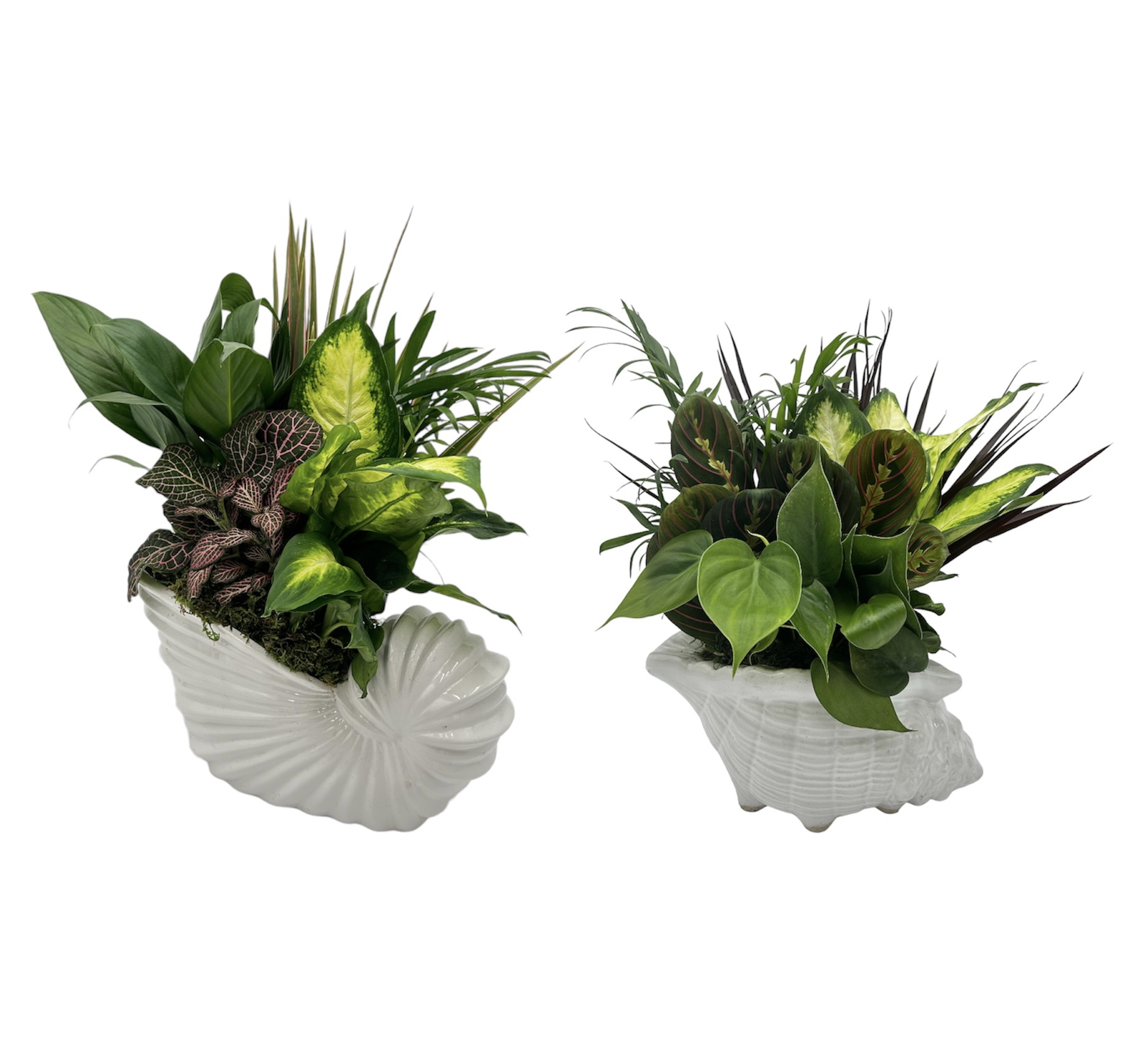 Ceramic Egg On Nest With 4" Foliage Plant Ceramic Egg On Nest With 4" Foliage Plant