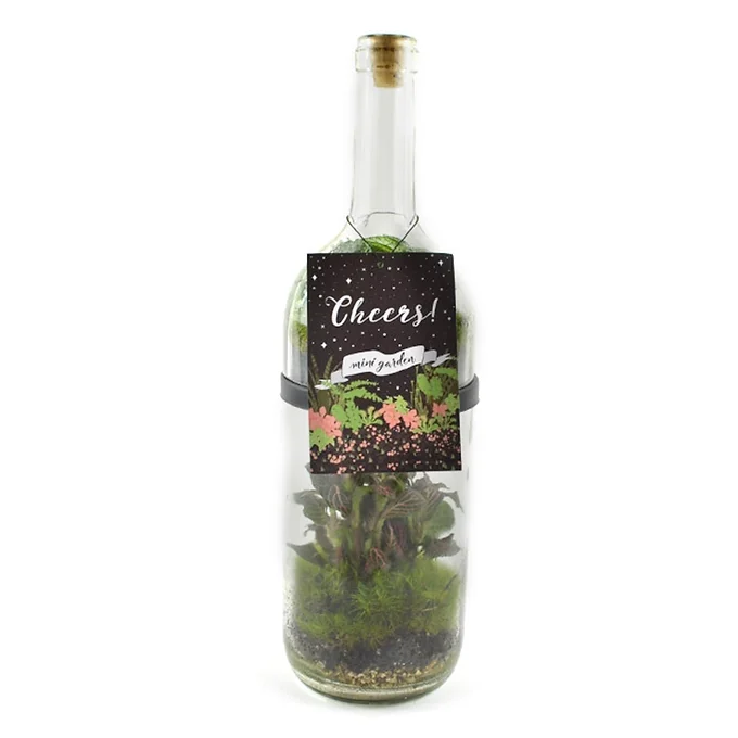 Cheers! Wine Bottle Terrrium With 2 Levels Of Plants