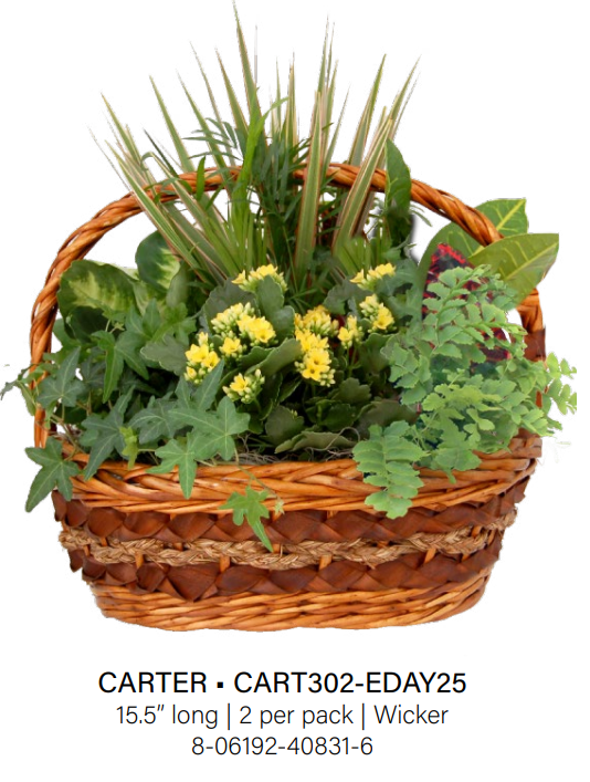 Carter Wicker - Medium