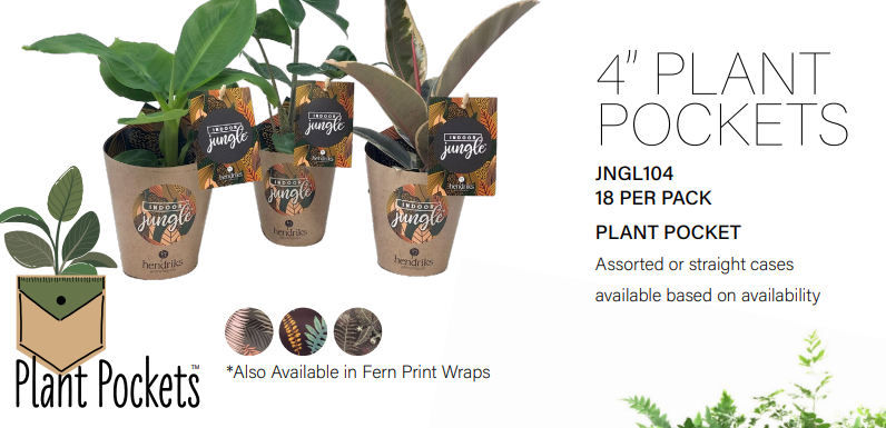 #4 Jungle Tropical