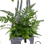 Mantra Cotton Hanger - Small