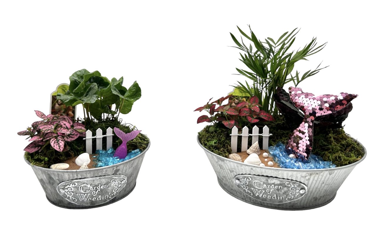 Mermaid Miniature Garden In Metal Container