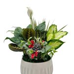 Euro White Round Ceramic W/ Dish Garden