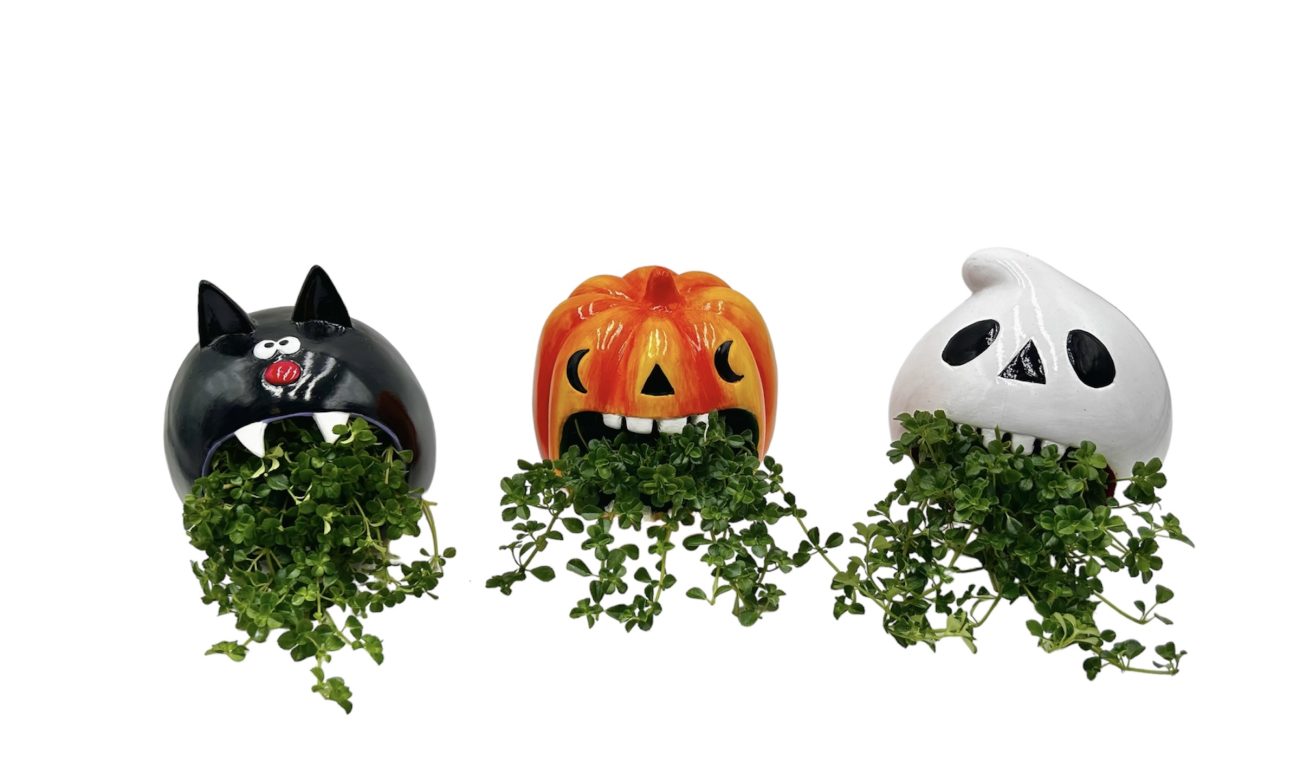 Halloween Howler Planter W/Asst. Vining Foliage