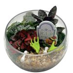 Cemeterrarium Slope - Cemetary Themed Garden