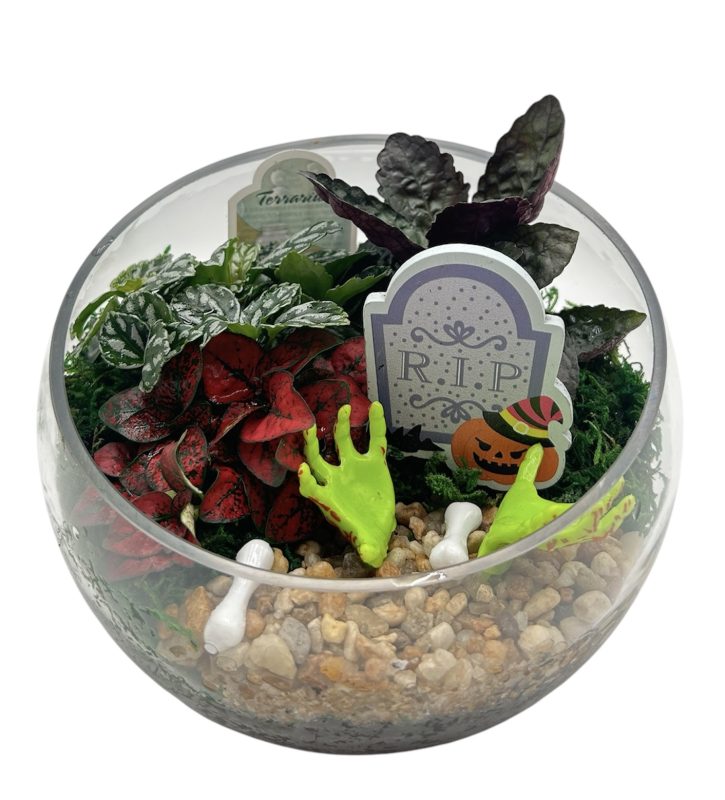 Cemeterrarium Slope - Cemetary Themed Garden
