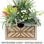 Whitehorse Chest - Medium