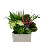 White Oval Ceramic W/ Dish Garden & Asst Pick