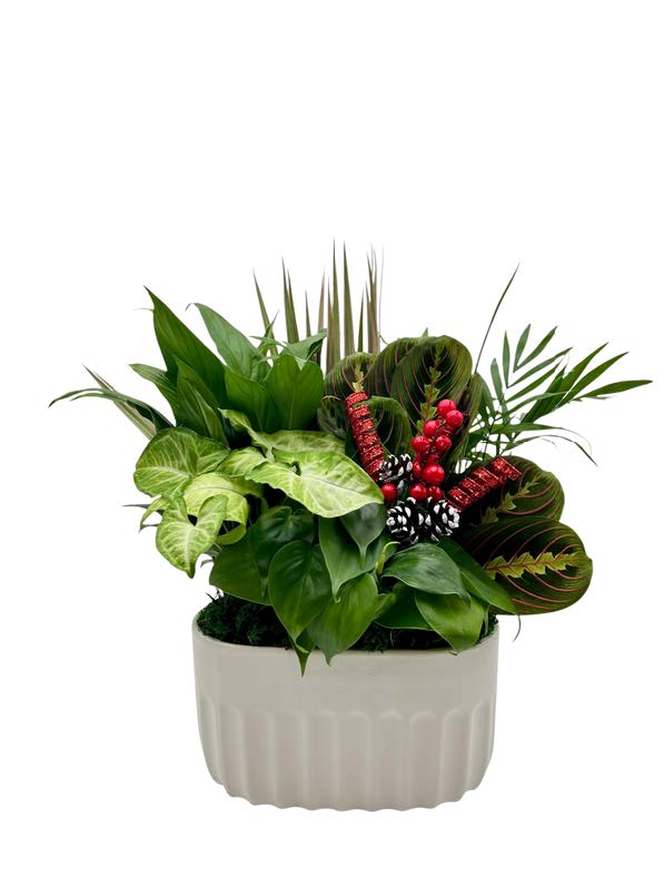 White Oval Ceramic W/ Dish Garden & Asst Pick