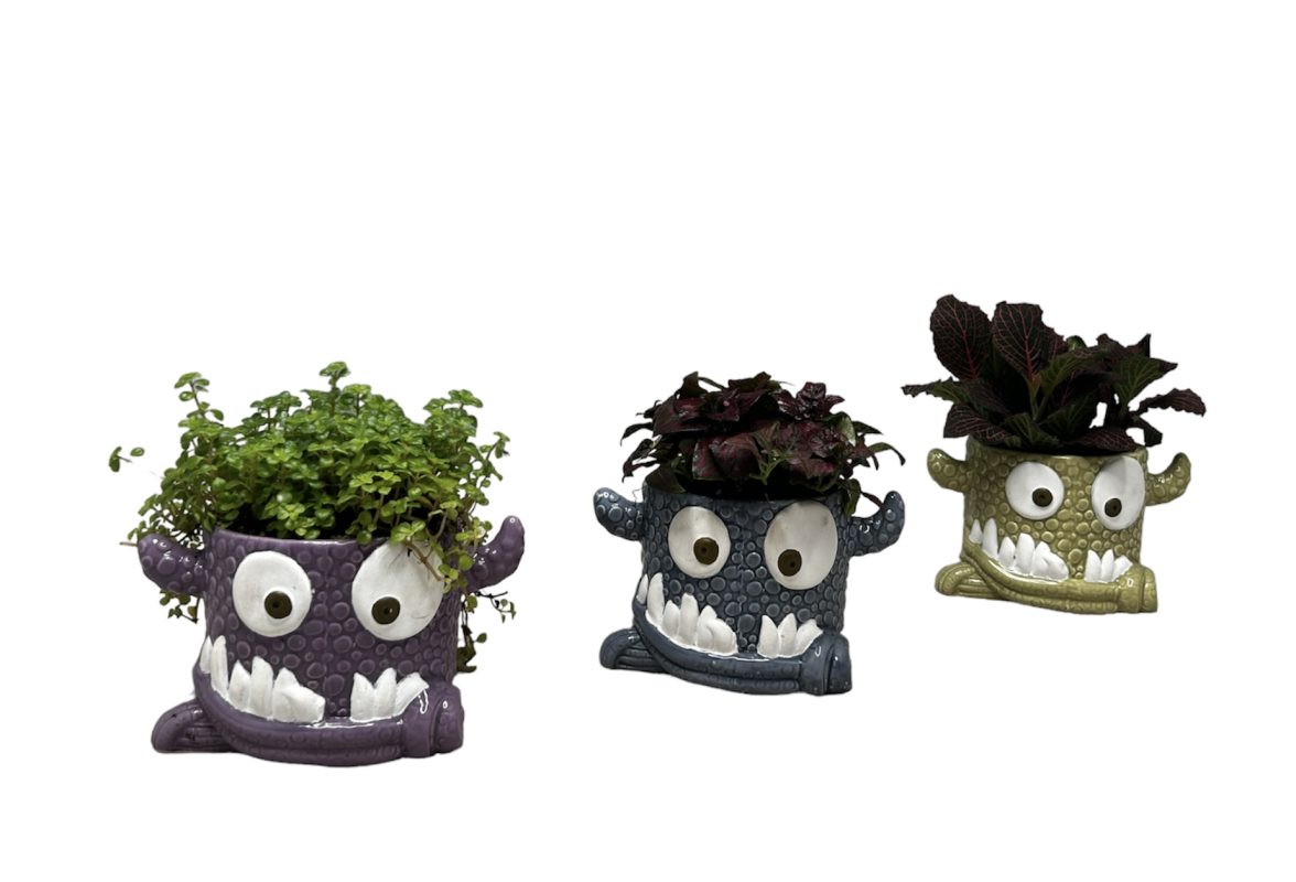 Snaggle Tooth Planter W/Asst. 3" Foliage