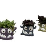 Snaggle Tooth Planter W/Asst. 3" Foliage