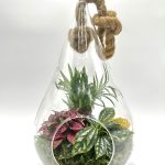 Hanging Pear Terrarium With 3 Foliage Plants