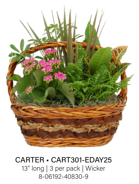 Carter Wicker - Small