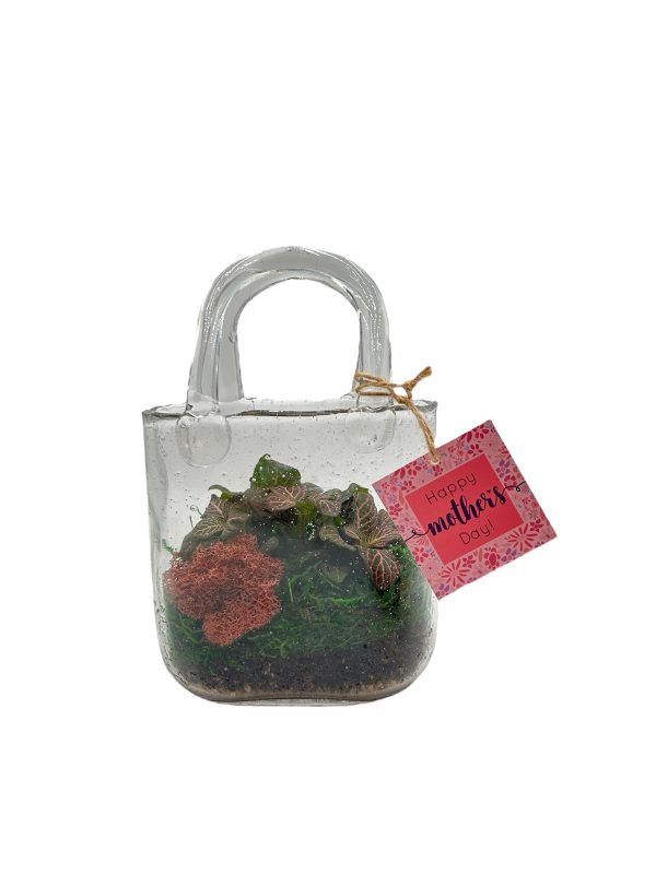 Small Glass Purse Terrarium