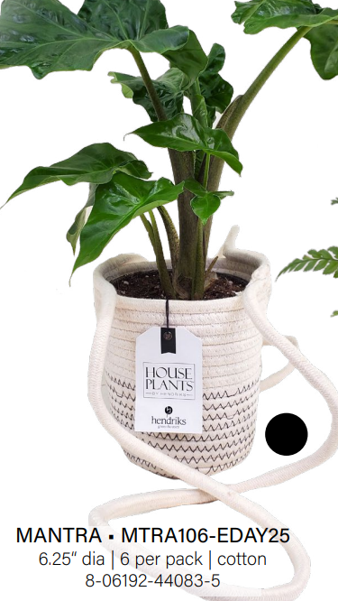 Mantra Cotton Hanger - Large