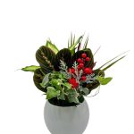 Maddie Ceramic W/ Dish Garden & Asst Pick