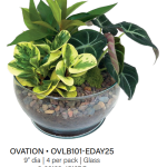Ovation Bowl Garden