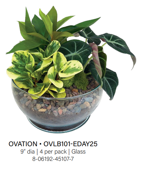 Ovation Bowl Garden