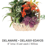 Delaware 501