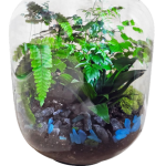 Avatar Glass Jar Large