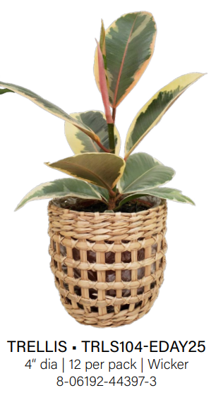 Trellis Woven Basket - Small