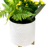 Mattise Stand Garden