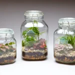 Tall Mason Jar/Canister Terrarium - 3 Plants