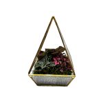 Geometric Terrarium -Pyramid Shape - Black Only 5"X8"