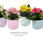 Moonstone Mini