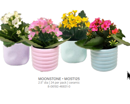 Moonstone Mini