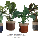 Remi Collection